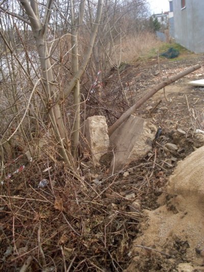 Likvidace stavebního odpadu a parkové úpravy v okolí kulturního domu v Kyjích 