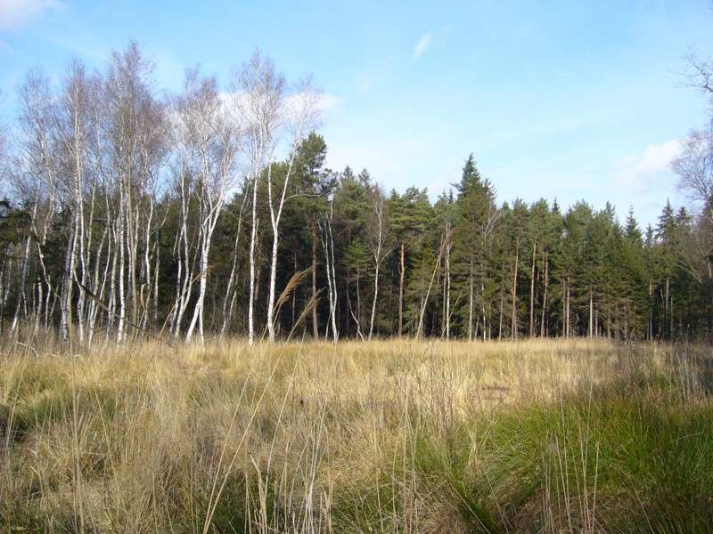 Nové zvláště chráněné území v KLánovickém lese