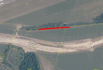 Kácení dřevin u kbelského letiště Kácení dřevin u kbelského letiště